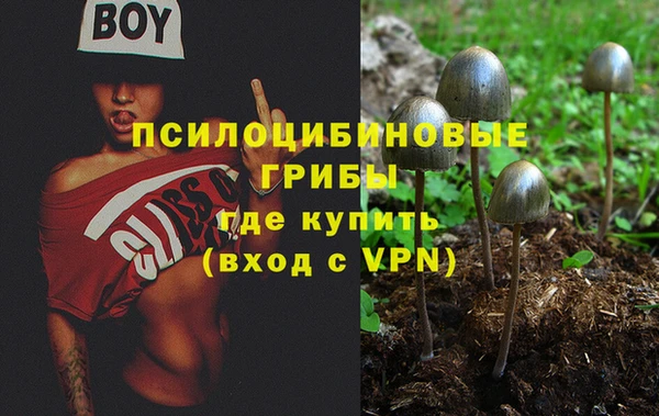 скорость Богданович