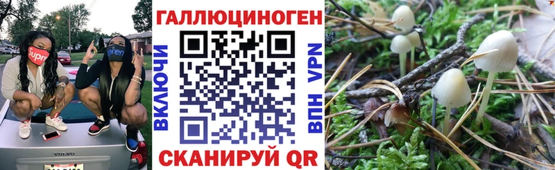 наркотики  Бугульма  OMG ссылки  Псилоцибиновые грибы прущие грибы 